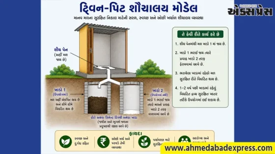 સ્વચ્છતામાં ડાંગ મોડેલ: દેશભરમાં આદિવાસી જિલ્લાએ રચ્યો ઇતિહાસ