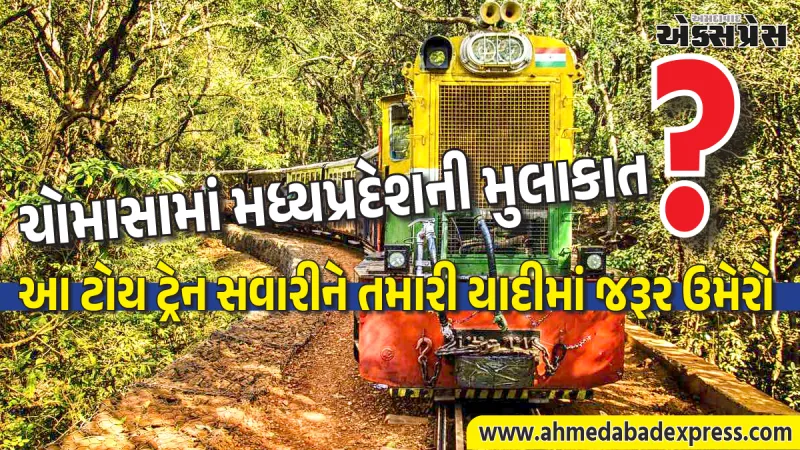 મધ્યપ્રદેશની ટોય ટ્રેન: ચોમાસામાં પાતાળપાણી-કાલાકુંડની સુંદર સફરનો આનંદ લો