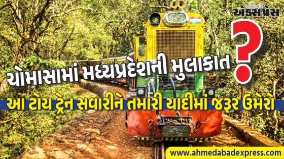 મધ્યપ્રદેશની ટોય ટ્રેન: ચોમાસામાં પાતાળપાણી-કાલાકુંડની સુંદર સફરનો આનંદ લો