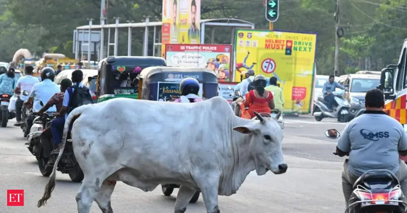 દિલ્હીમાં રખડતા ઢોરના હુમલામાં ભાજપના કોર્પોરેટર ઘાયલ: શહેરી સુરક્ષા પર સવાલ