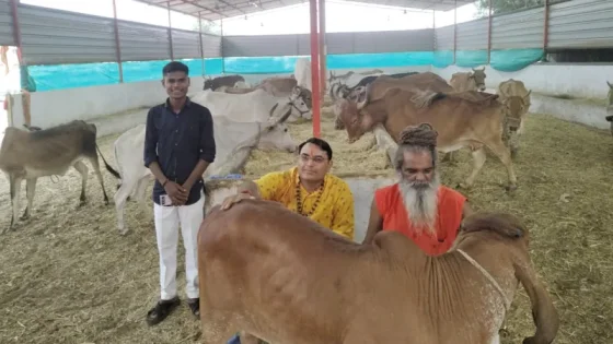 લીમખેડાના હસ્તેશ્વર મહાદેવ મંદિરે ગૌસેવાનું ઉત્તમ ઉદાહરણ: અજ્ઞાત ભક્તે કર્યું મોટું ગુપ્તદાન - Ahmedabad Express