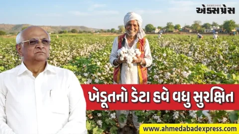 ગુજરાતના ખેડૂતો માટે ડિજિટલ સુરક્ષા કવચ: રાજ્ય સરકારે બનાવી 'વિભાગીય ડેટા સમિતિ'