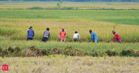 નબળા ચોમાસાની ગ્રામીણ અર્થતંત્ર અને ધિરાણ પર અસર: S&P ગ્લોબલ રેટિંગ્સનો અહેવાલ