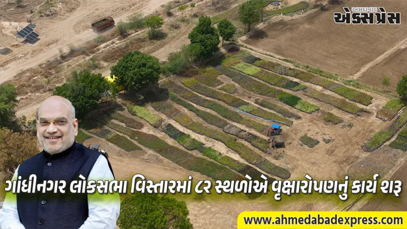 ગાંધીનગર બનશે હરિયાળું: અમિત શાહના પ્રોજેક્ટ હેઠળ સવા કરોડ વૃક્ષો વાવવાની મહાઝુંબેશ