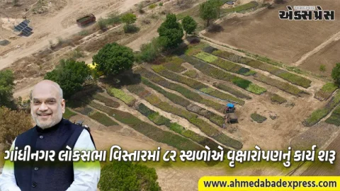 ગાંધીનગર બનશે હરિયાળું: અમિત શાહના પ્રોજેક્ટ હેઠળ સવા કરોડ વૃક્ષો વાવવાની મહાઝુંબેશ