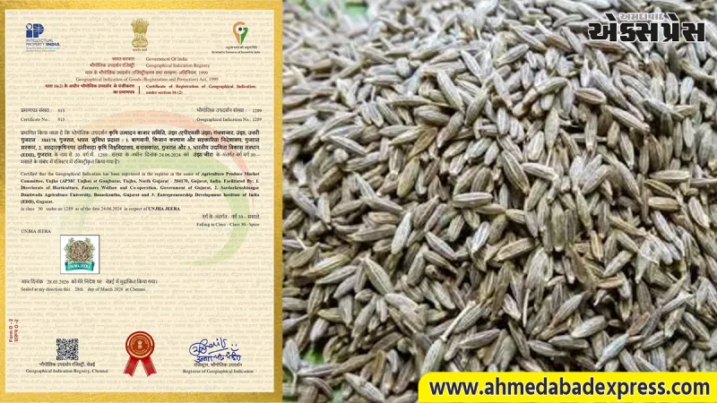 ગુજરાતની મોટી સિદ્ધિ: ઊંઝાના જીરું અને વરિયાળીને મળ્યો વૈશ્વિક GI ટેગ