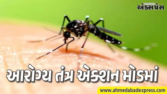 ગુજરાતમાં મચ્છરજન્ય રોગો સામે જંગ: આરોગ્ય વિભાગની ૧૯,૫૦૦ ટીમો મેદાનમાં, ૯૪ લાખ ટેસ્ટ પૂર્ણ