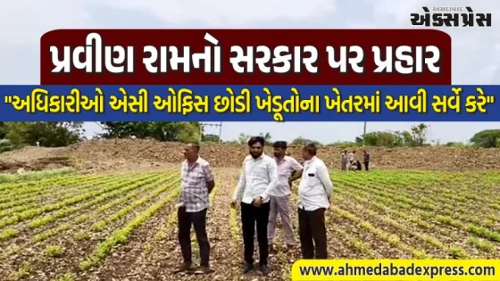 ઘેડમાં ખેડૂતોની કફોડી હાલત: ૭૦ ટકા મગફળીનો પાક નિષ્ફળ, AAP દ્વારા તાત્કાલિક સર્વેની માંગ