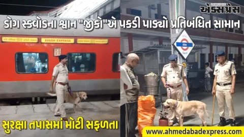 ડોગ સ્ક્વોડના શ્વાન "જીકો"ની સતર્કતા: ડેરોલ રેલવે સ્ટેશન પર મુસાફર પાસેથી એલપીજી સિલિન્ડર જપ્ત