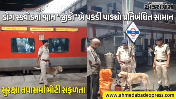 ડોગ સ્ક્વોડના શ્વાન "જીકો"ની સતર્કતા: ડેરોલ રેલવે સ્ટેશન પર મુસાફર પાસેથી એલપીજી સિલિન્ડર જપ્ત