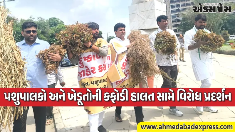 સુકાયેલી મગફળી અને પાક સાથે વિધાનસભા પહોંચ્યા AAP નેતાઓ: દુષ્કાળ જાહેર કરવાની માંગ સાથે ગૃહમાં અવાજ બુલંદ