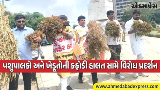 સુકાયેલી મગફળી અને પાક સાથે વિધાનસભા પહોંચ્યા AAP નેતાઓ: દુષ્કાળ જાહેર કરવાની માંગ સાથે ગૃહમાં અવાજ બુલંદ