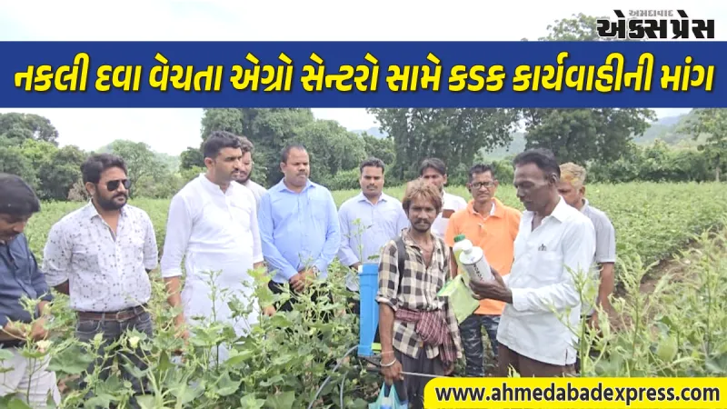 નર્મદા જિલ્લામાં નકલી દવાના છંટકાવથી કપાસનો પાક બળીને ખાખ: નિરંજન વસાવા દ્વારા ખેડૂતોને ન્યાય અપાવવા ઉગ્ર માંગ