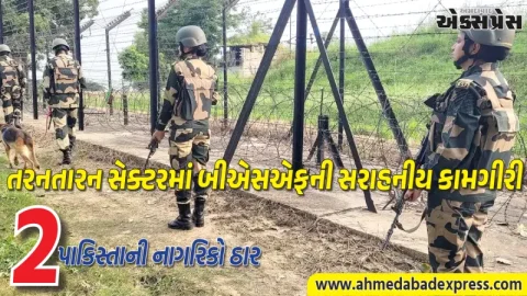 પંજાબના તરનતારનમાં ઘૂસણખોરીનો પ્રયાસ નિષ્ફળ; BSF એ બે પાકિસ્તાની ઘૂસણખોરોને ઠાર માર્યા