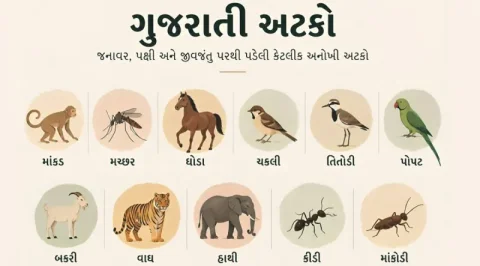 ગુજરાતી અટકોમાં 'માછર', 'હાથી', 'ઘોડા': અનોખો પ્રાણીસંગ્રહાલય
