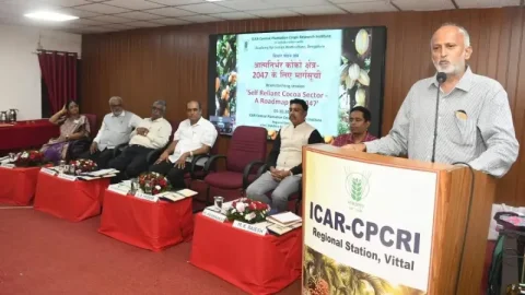 કોકો આત્મનિર્ભરતા: નિષ્ણાતોએ વિસ્તાર વધારવા અને ગુણવત્તાયુક્ત રોપણ સામગ્રી પર ભાર મૂક્યો