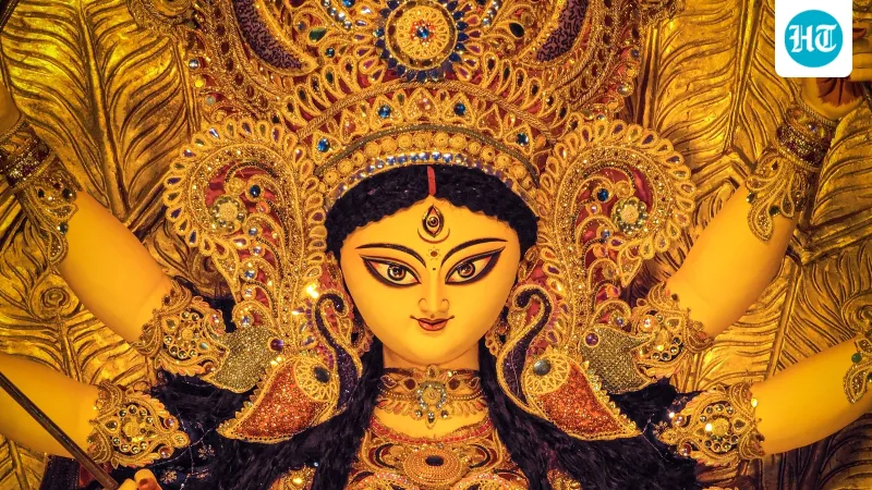 સદગુરુ નવરાત્રી પર: નવ રાત્રીઓ માત્ર ઉજવણી નહીં, આત્મચિંતનનો સમય છે