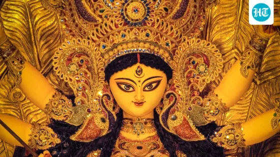 સદગુરુ નવરાત્રી પર: નવ રાત્રીઓ માત્ર ઉજવણી નહીં, આત્મચિંતનનો સમય છે