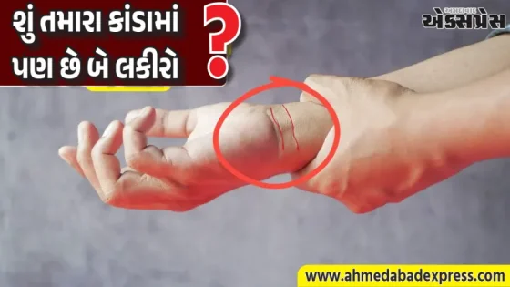 હસ્તરેખાશાસ્ત્ર: કાંડા પર બે રેખાઓ હોવી ખૂબ જ મહત્વપૂર્ણ છે; બીજી રેખા અપાર સંપત્તિ અને સારા સ્વાસ્થ્યનું રહસ્ય દર્શાવે છે