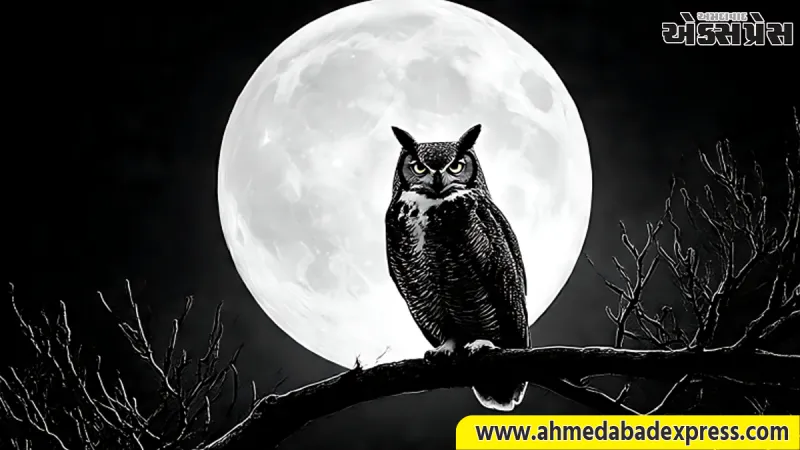 Sharad Purnima 2026: જો શરદ પૂર્ણિમાની રાત્રે તમને આ પક્ષી જોવા મળે, તો સમજી લેવું કે તમારા માટે સૌભાગ્યના દ્વાર ખુલવાના છે!