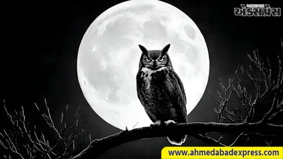 Sharad Purnima 2026: જો શરદ પૂર્ણિમાની રાત્રે તમને આ પક્ષી જોવા મળે, તો સમજી લેવું કે તમારા માટે સૌભાગ્યના દ્વાર ખુલવાના છે!