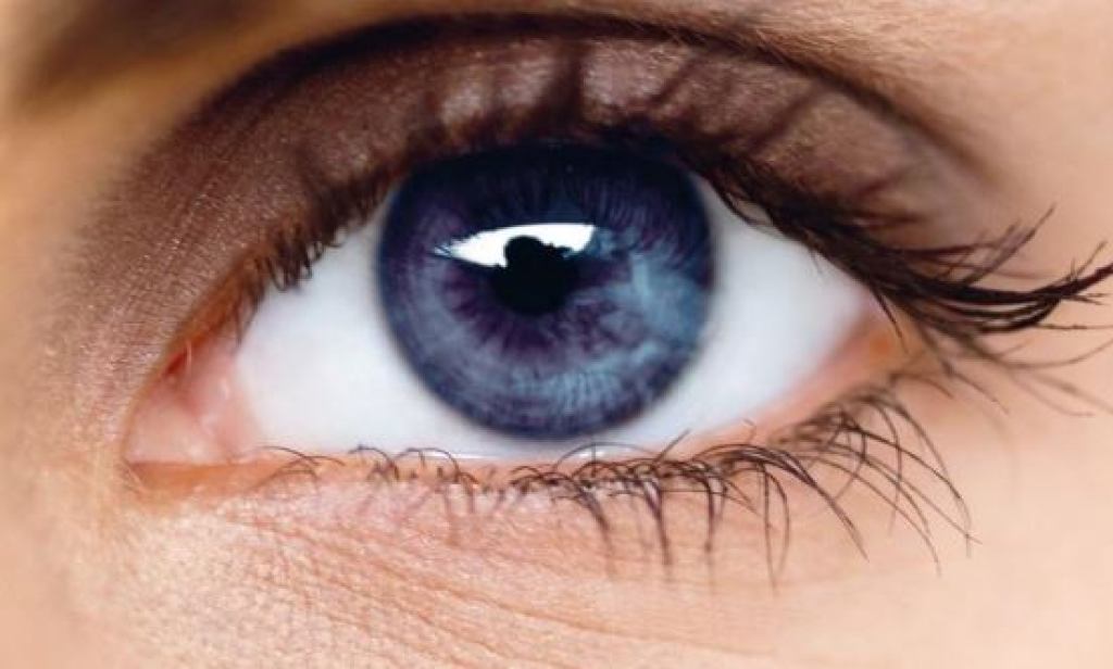 Healthy Eyes :  તમારી આંખોને સ્વસ્થ રાખવાની પાંચ મહત્વની રીતો