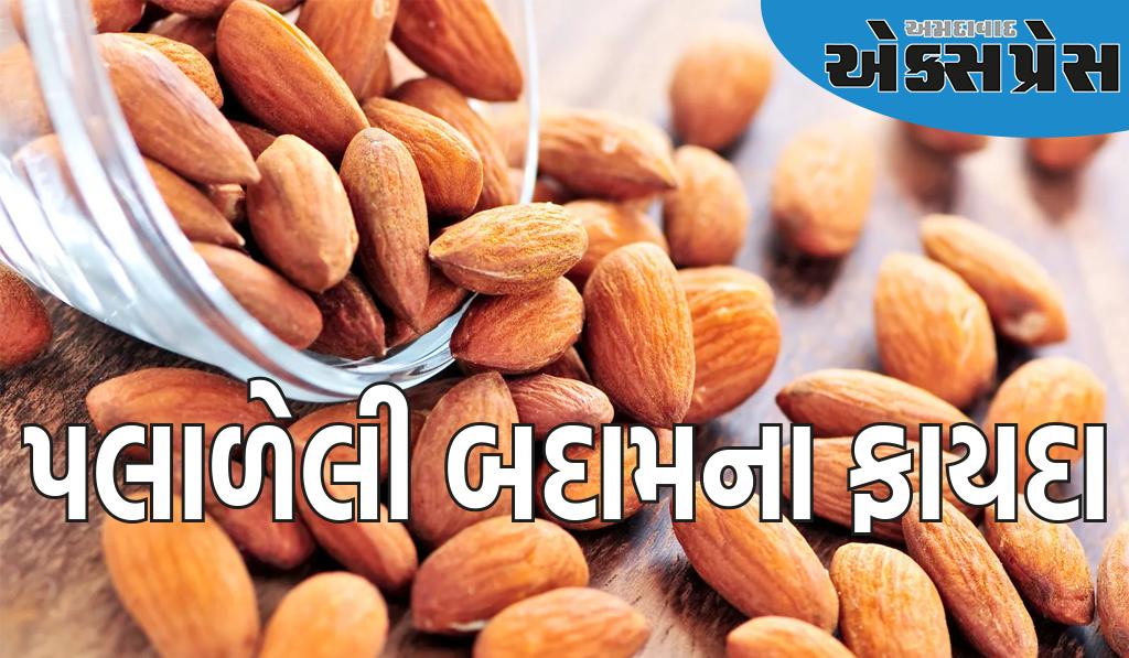 સવારે ખાલી પેટ પલાળેલી બદામનું સેવન આ 8 લોકો માટે વરદાનથી ઓછું નથી