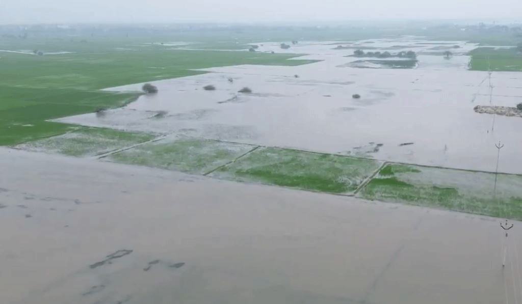 Cyclone Fengal:  તમિલનાડુ અને પુડુચેરીમાં લેન્ડફોલ પહેલા બંગાળની ખાડી પરનું ડીપ ડિપ્રેસન નબળું પડશે