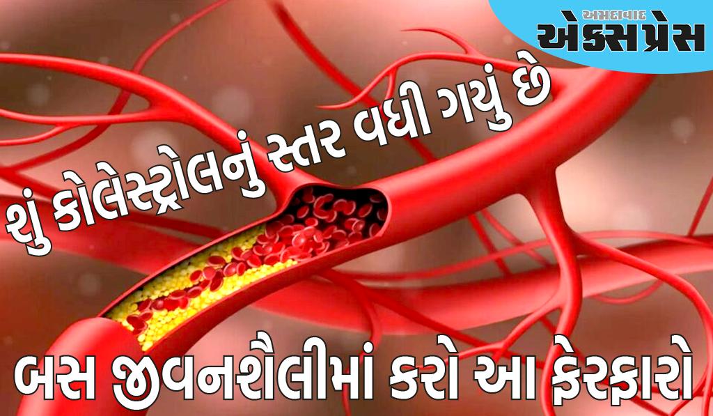 ધમનીઓમાં એકઠું થયેલું ગંદું કોલેસ્ટ્રોલ દૂર થશે, બધી ભરાયેલી નસો ખુલી જશે, બસ જીવનશૈલીમાં કરો આ ફેરફારો