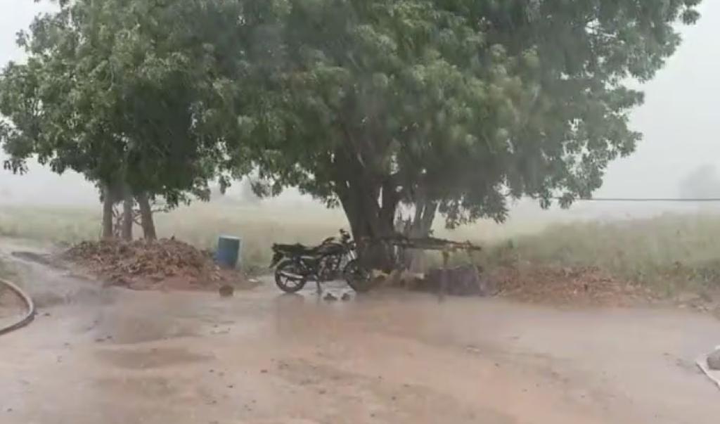 Unseasonal Rain: ઉનાળાની આકરી ગરમી વચ્ચે ગુજરાતના કચ્છમાં કરા સાથે કમોસમી વરસાદ