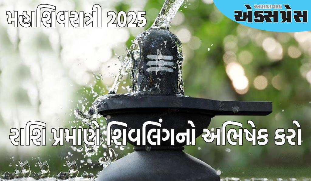 મહાશિવરાત્રી 2025: મહાશિવરાત્રી પર, તમારી રાશિ પ્રમાણે શિવલિંગનો અભિષેક કરો, તમારું નસીબ ચમકશે, પ્રગતિનો માર્ગ ખુલશે!