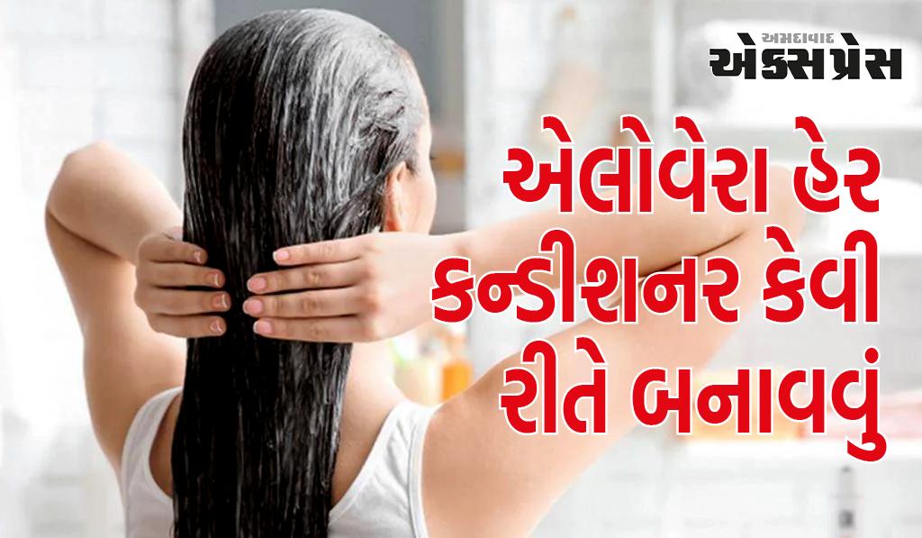 એલોવેરા જેલથી ઘરેજ કંડીશનર બનાવો, વાળ ખરશે નહિ અને શુષ્કતા ઓછી થશે