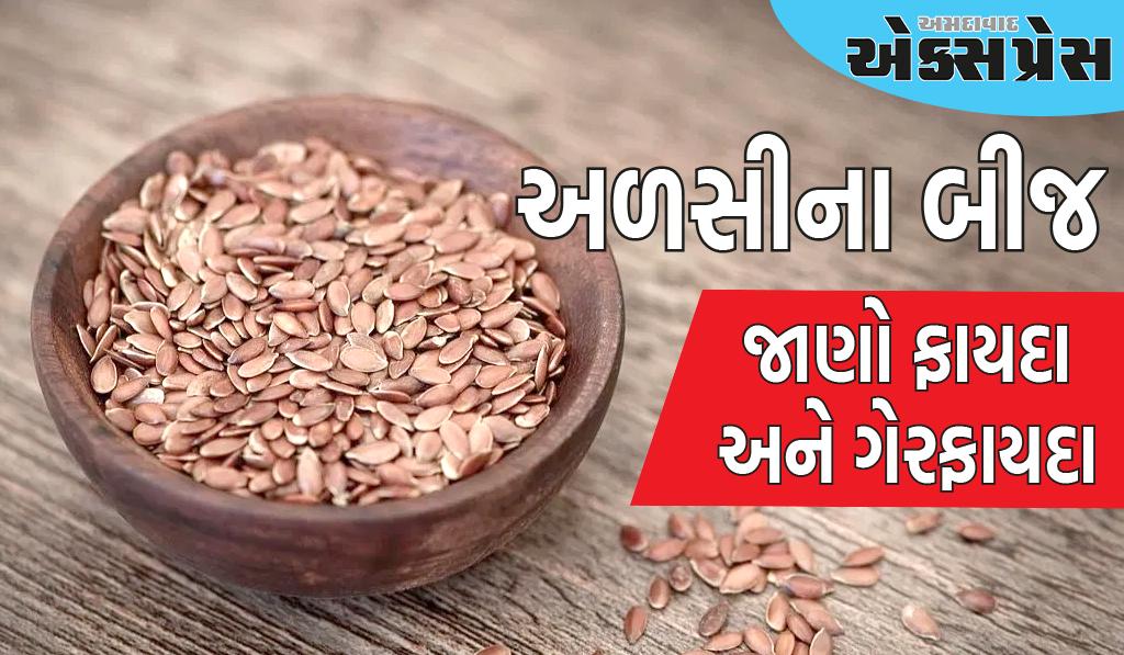 શિયાળામાં અળસીના બીજ ખાવા જોઈએ? જાણો ફાયદા અને ગેરફાયદા