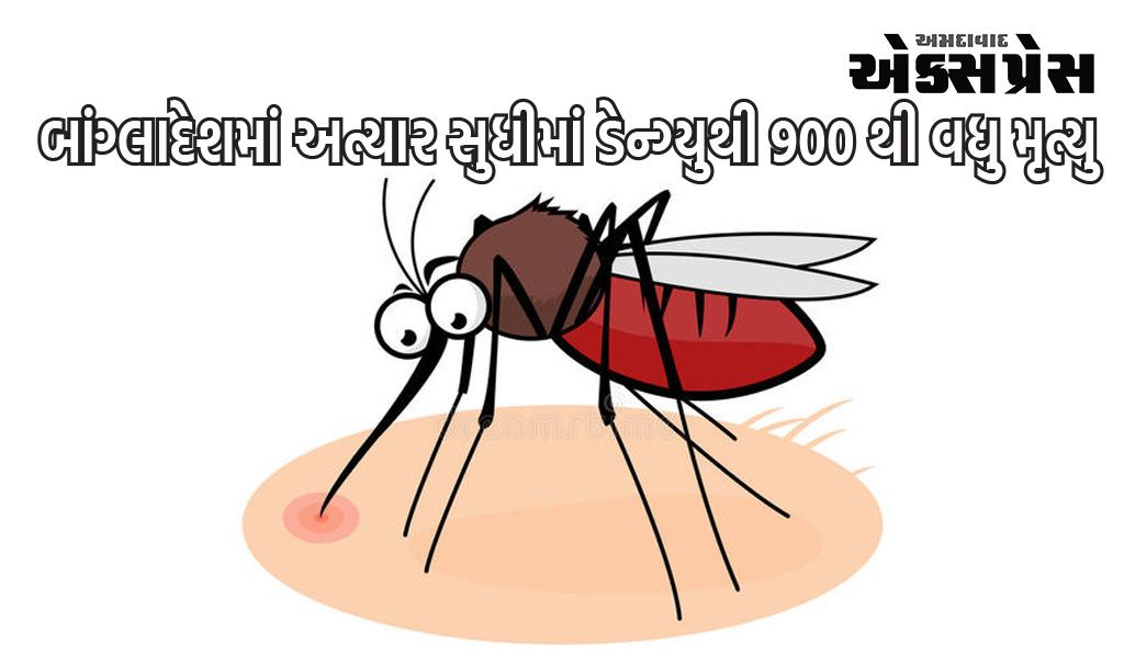 આ રોગે ભારતના પડોશી દેશમાં પાયમાલી મચાવી, 900 થી વધુ મૃત્યુ આઘાતજનક છે