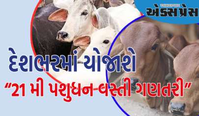 ગુજરાત સહિત દેશભરમાં યોજાશે “૨૧મી પશુધન વસ્તી ગણતરી”