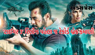 'ટાઈગર 3' રિલીઝ પહેલા જ રેકોર્ડ બ્રેક કમાણી કરી, 7 દિવસમાં ટ્રિપલ સેન્ચુરી ફટકારશે