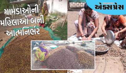 સખીમંડળની 8500 બહેનોએ ત્રણ મહિનામાં 5000 મે. ટન લીંબોળી એકત્ર કરીને 4 કરોડની આવક મેળવી