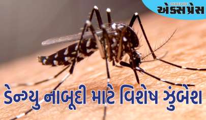 રાજ્યભરમાં આરોગ્ય વિભાગ દ્વારા જુલાઈથી ઓક્ટોબર માસ દરમિયાન ડેન્ગ્યુ નાબૂદી માટે વિશેષ ઝુંબેશ