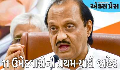 દિલ્હીની ચૂંટણીમાં ઉતરી અજિત પવારની NCP, 11 ઉમેદવારોની પ્રથમ યાદી જાહેર કરવામાં આવી   