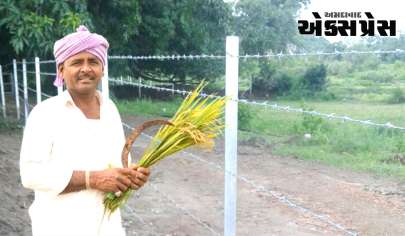 વડોદરા જિલ્લાના ખેડૂતોને પાક રક્ષણ હેઠળ ખેતરની ફરતે તાર ફેન્સિંગ બનાવવા માટે સહાય યોજના