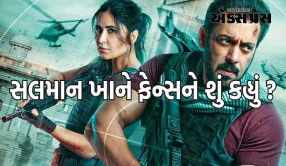 'ટાઈગર 3'ની રિલીઝ પહેલા સલમાન ખાને ફેન્સને કહ્યું આટલું, કેટરીના કૈફે પણ કર્યું સમર્થન