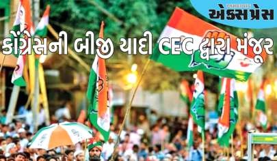 દિલ્હી ચૂંટણી: કોંગ્રેસની બીજી યાદી CEC દ્વારા મંજૂર, જાણો ક્યારે જાહેર થશે