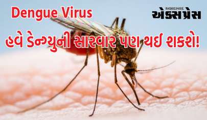 ડેન્ગ્યુની દવાઓઃ હવે ડેન્ગ્યુની સારવાર પણ થઈ શકશે! રોગની પ્રથમ દવાના પરિણામોથી વૈજ્ઞાનિકો રોમાંચિત થયા