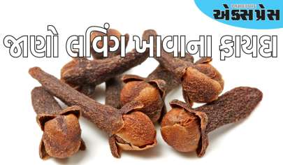 રોજ બે લવિંગ ખાવાથી દૂર થશે આ બીમારી, જાણો લવિંગ ખાવાના ફાયદા