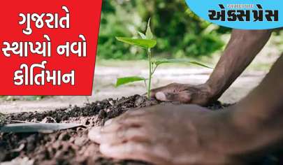 વૃક્ષારોપણમાં રાષ્ટ્રીય સ્તરે ગુજરાતે સ્થાપ્યો નવો કીર્તિમાન