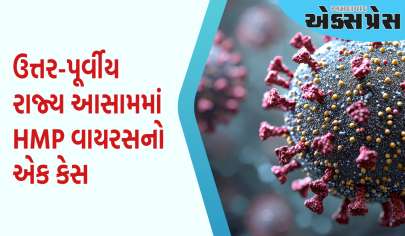 એક વધુ રાજ્યમાં HMP વાયરસનો કેસ મળ્યો, 10 મહિનાના બાળકને ચેપ લાગ્યો