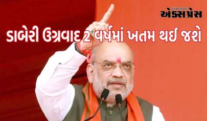 ગૃહમંત્રી અમિત શાહનો દાવો- ડાબેરી ઉગ્રવાદ 2 વર્ષમાં ખતમ થઈ જશે, જાણો બીજું શું કહ્યું?