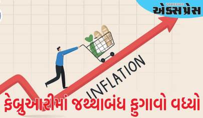 Inflation: ફેબ્રુઆરીમાં જથ્થાબંધ ફુગાવો વધ્યો, 2.38 ટકા પર પહોંચ્યો, જાણો આખી વાત