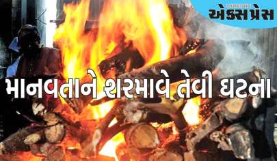 ઝારખંડ: બહેનના અંતિમ સંસ્કારમાં ગયા હતા, જીજાનેજ સળગતી ચિતામાં ફેંકી હત્યા કરી