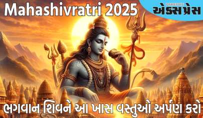 મહાશિવરાત્રી 2025: મહાશિવરાત્રીના દિવસે ભગવાન શિવને આ ખાસ વસ્તુઓ અર્પણ કરો, તમારું ભાગ્ય ચમકશે!